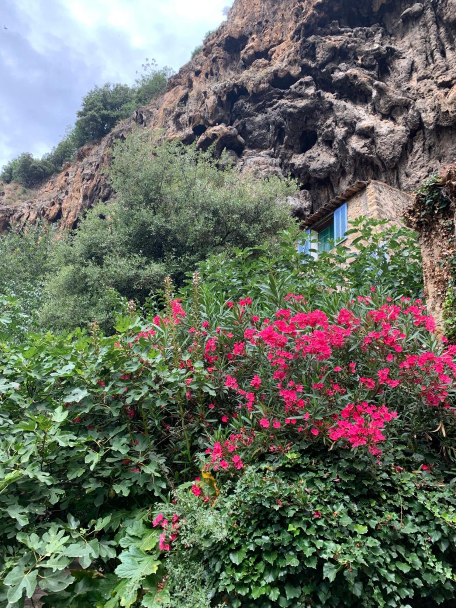 コティニャック Tivoli En Provenceヴィラ エクステリア 写真